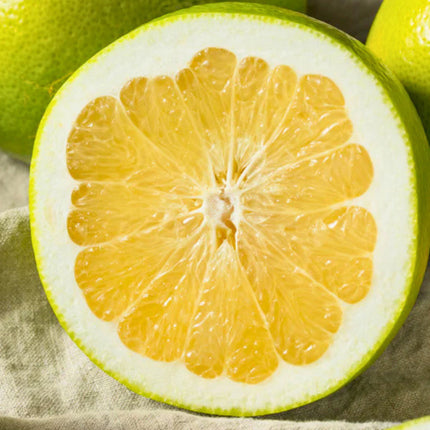 Nasiona Pomelo (Citrus maxima)