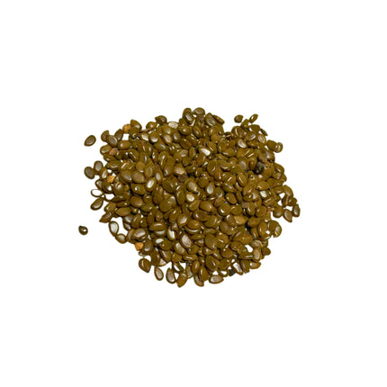 Nasiona Senny argentyńskiej (Senna corymbosa)