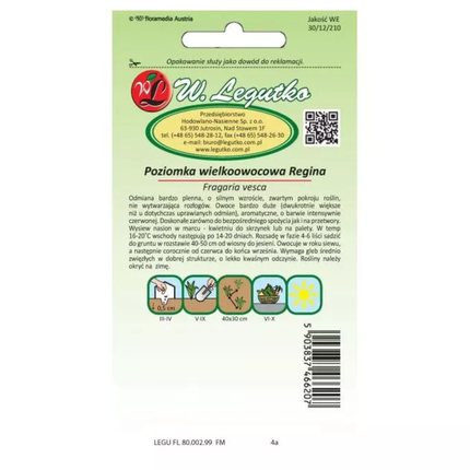 Velikoplodna jagoda Regina - Fragaria vesca