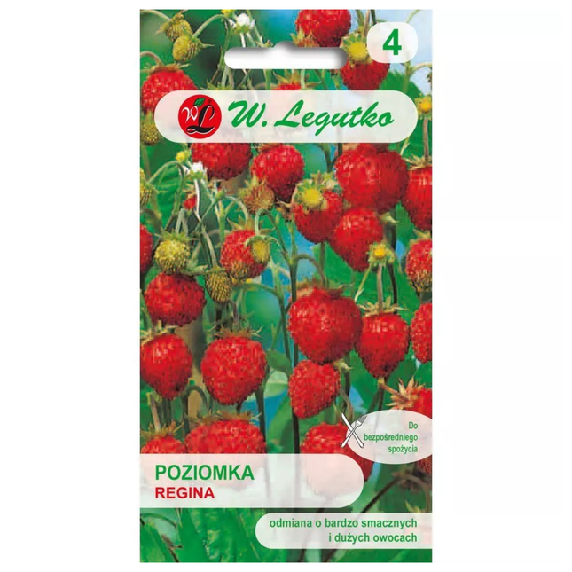 Velikoplodna jagoda Regina - Fragaria vesca