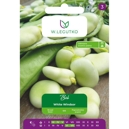 Bób White Windsor - Vicia faba