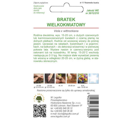 Bratek wielkokwiatowy Abendglut czerwony - Viola × wittrockiana