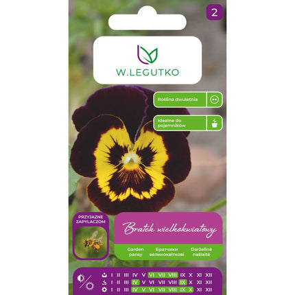 Bratek wielkokwiatowy brązowy - Viola × wittrockiana