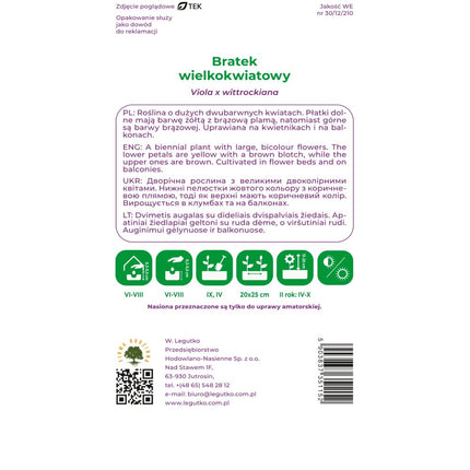 Bratek wielkokwiatowy brązowy - Viola × wittrockiana