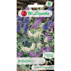 Budleja Dawida mieszanka - Buddleja davidii