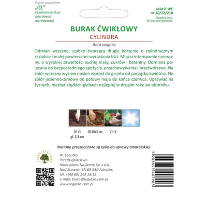 Burak ćwikłowy Cylindra - Beta vulgaris