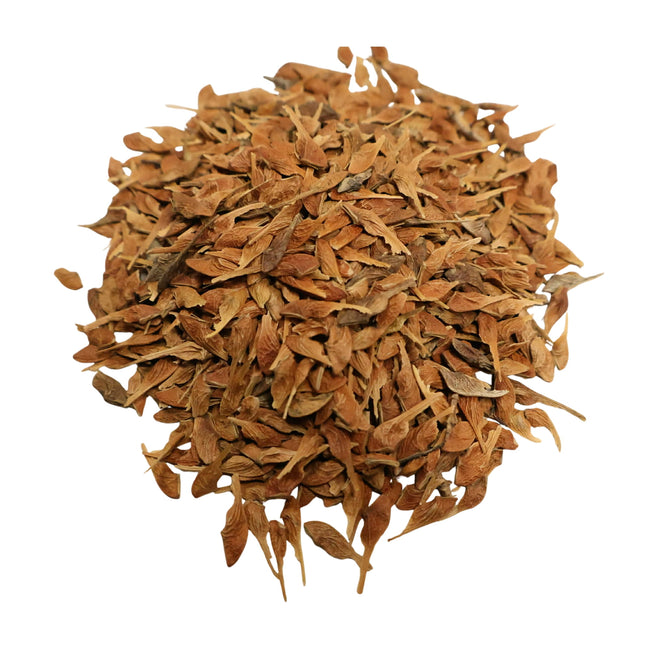 Nasiona Klonu Ginnala - Acer Ginnala