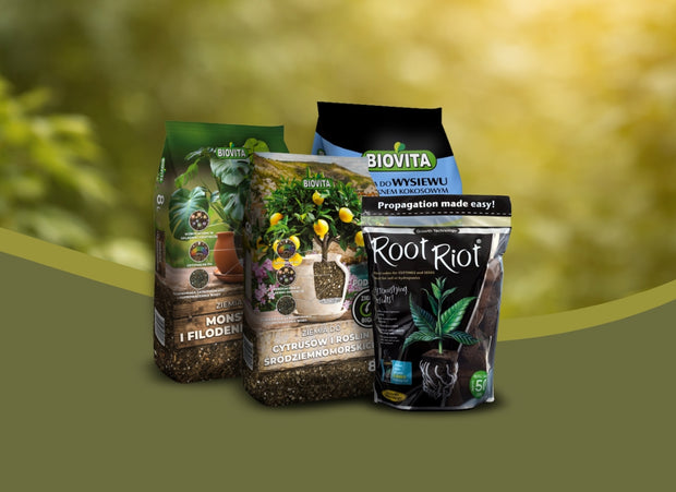 <h2><strong>podłoża</strong></h2>