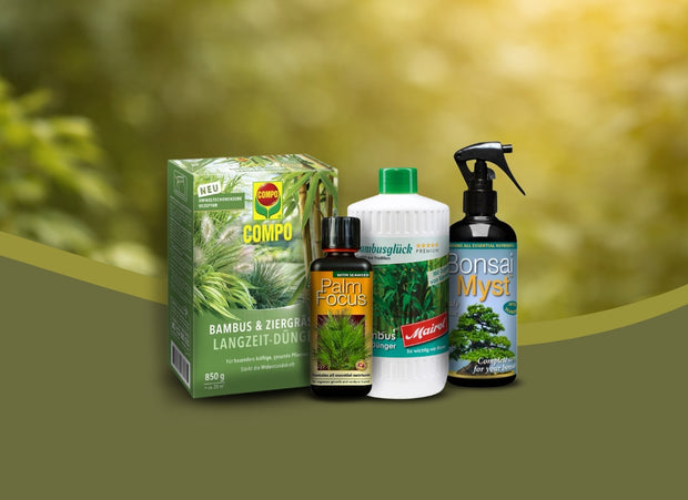 <h2><a href="/collections/nawozy" title="Nawozy"><strong>NAWOZY</strong></a></h2>