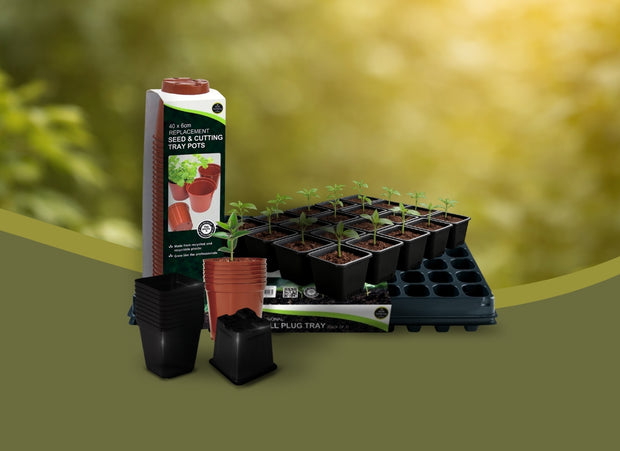 <h2><strong>doniczki</strong></h2>