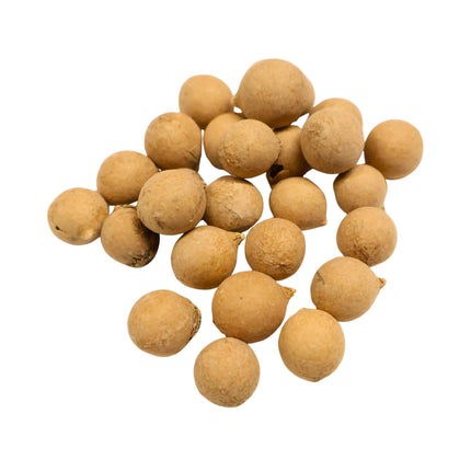 Nasiona Palmy Olbrzymiej Yarey - Copernicia Fallaensis