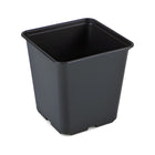 Doniczka produkcyjna kwadratowa 15x15x15 cm 2,3 L Desch – widok z boku