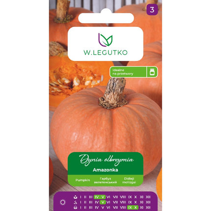 Dynia olbrzymia Amazonka - Cucurbita maxima