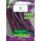 Fasola szparagowa tyczna Blauhilde - Phaseolus vulgaris