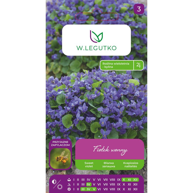 Fiołek wonny fioletowy - Viola odorata