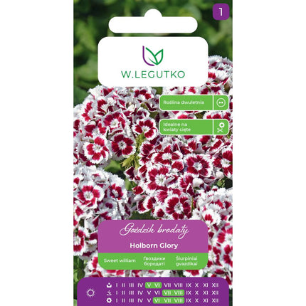 Goździk brodaty Holborn Glory czerwony - Dianthus barbatus