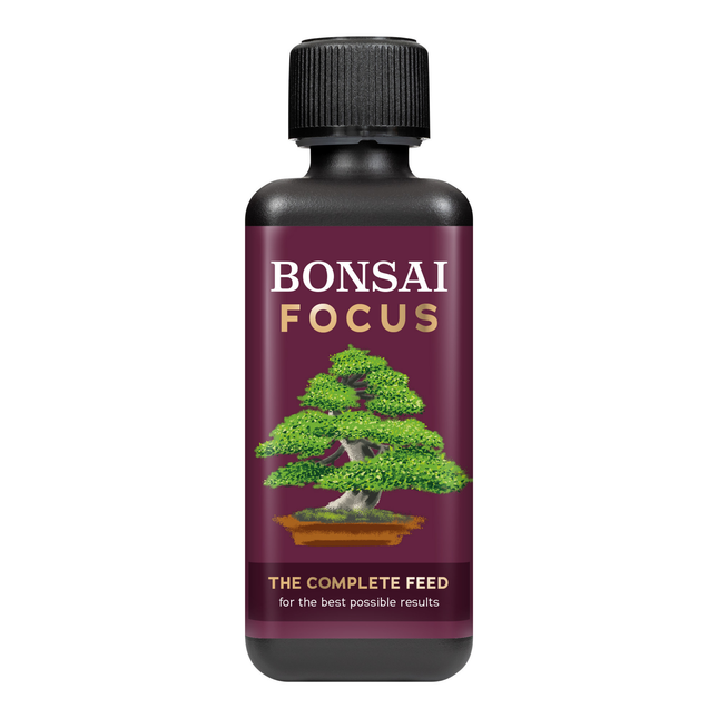 Bonsai Focus 300ml - nawóz do roślin bonsai