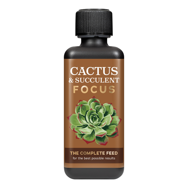 Cactus Focus 300ml - nawóz do kaktusów i sukulentów