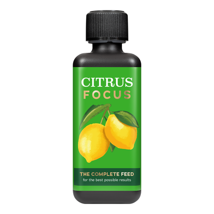 Citrus Focus 300ml - nawóz do roślin cytrusowych