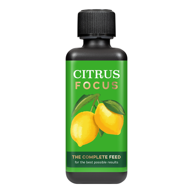 Citrus Focus 300ml - nawóz do roślin cytrusowych