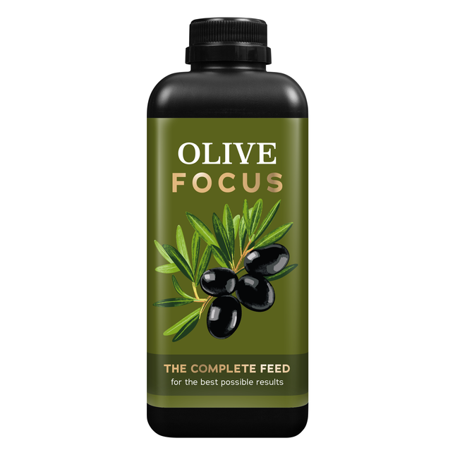 Olive Focus 1L - nawóz do drzew oliwnych