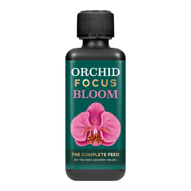 Orchid Focus Bloom 300ml - odżywka do storczyków