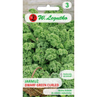 Jarmuż zielony Dwarf Green Curled - Brassica oleracea var. sabellica