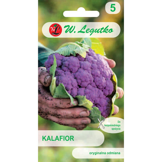 Kalafior Di Sicilia Violetto - Brassica oleracea var. botrytis