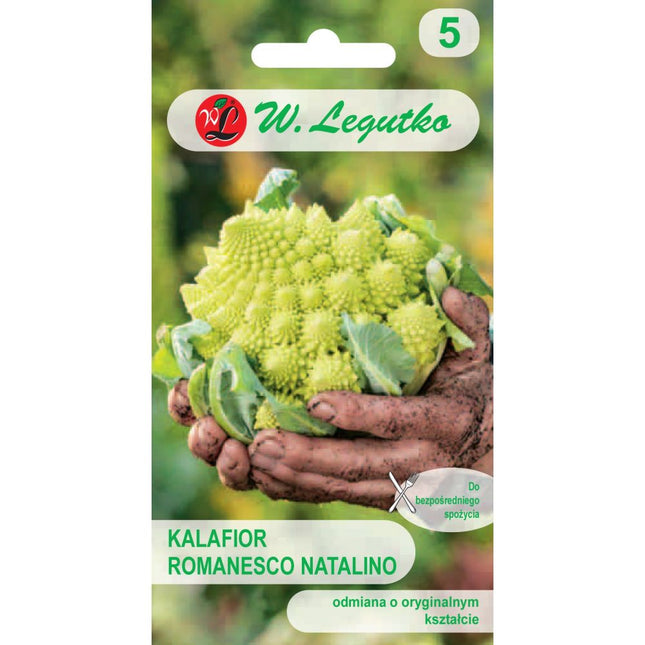 Kalafior Romanesco Natalino - Brassica oleracea var. botrytis