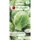 Kapusta brukselska Groninger - Brassica oleracea var. gemmifera