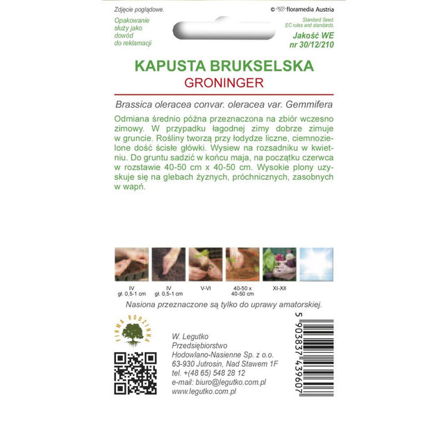 Kapusta brukselska Groninger - Brassica oleracea var. gemmifera