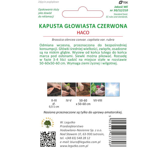 Kapusta głowiasta czerwona Haco - Brassica oleracea var. capitata f. rubra