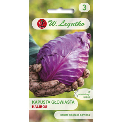 Kapusta głowiasta czerwona Kalibos - Brassica oleracea var. capitata f. rubra