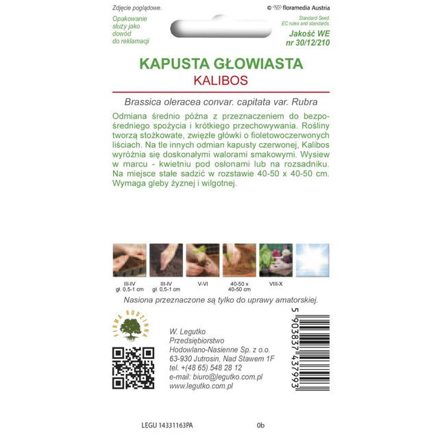 Kapusta głowiasta czerwona Kalibos - Brassica oleracea var. capitata f. rubra