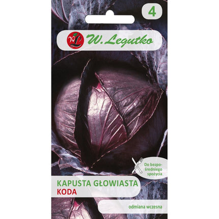 Kapusta głowiasta czerwona Koda - Brassica oleracea var. capitata f. rubra