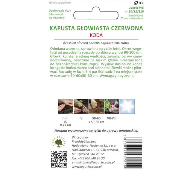Kapusta głowiasta czerwona Koda - Brassica oleracea var. capitata f. rubra
