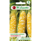 Kukurydza cukrowa Ramondia F1 - Zea mays convar. saccharata