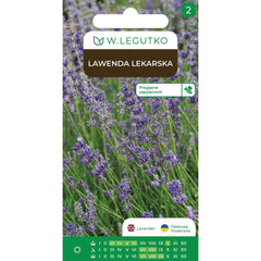 Lawenda lekarska - Lavandula angustifolia