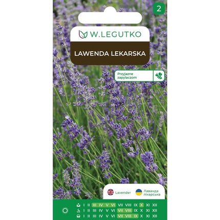 Lawenda lekarska - Lavandula angustifolia