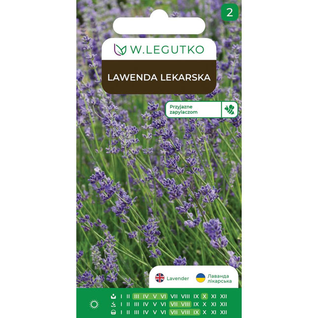 Lawenda lekarska - Lavandula angustifolia