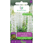 Łubin trwały Noblemaiden biały - Lupinus polyphyllus