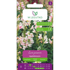 Lwia paszcza wysoka Appleblossom różowa - Antirrhinum majus