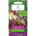 Lwia paszcza wysoka Brazilian Carnival mieszanka - Antirrhinum majus
