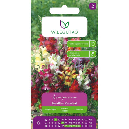Lwia paszcza wysoka Brazilian Carnival mieszanka - Antirrhinum majus
