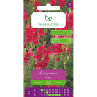 Lwia paszcza wysoka Ruby czerwona - Antirrhinum majus