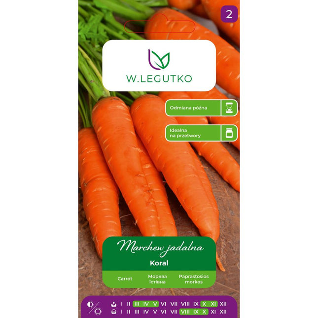 Marchew późna Koral - Daucus carota