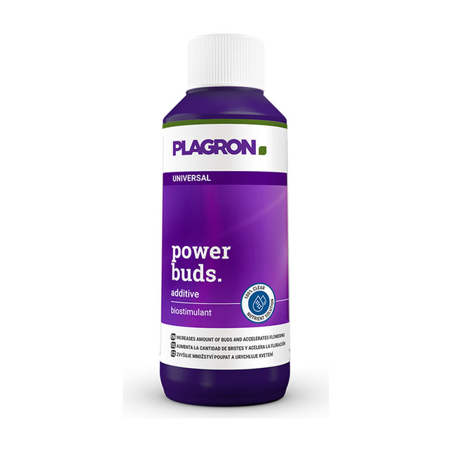 Plagron Power Buds 100 ml – biostymulator kwitnienia i zawiązywania pąków
