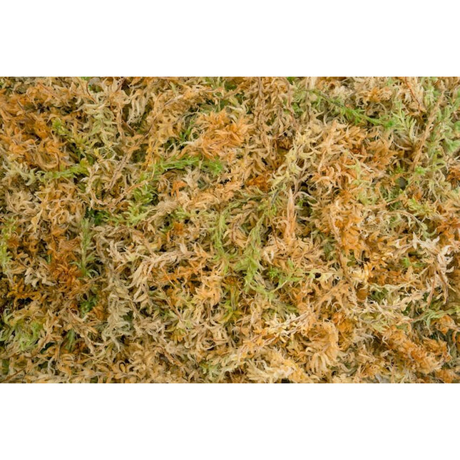 Besgrow Spagmoss Classic 150 g (12 L) – mech Sphagnum z Nowej Zelandii