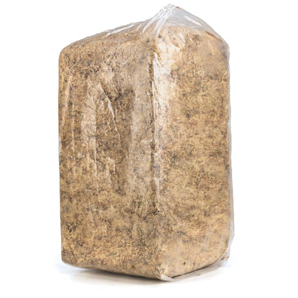 Besgrow Chilean Sphagnum Moss 5 kg – chilijski mech torfowiec (żółty)