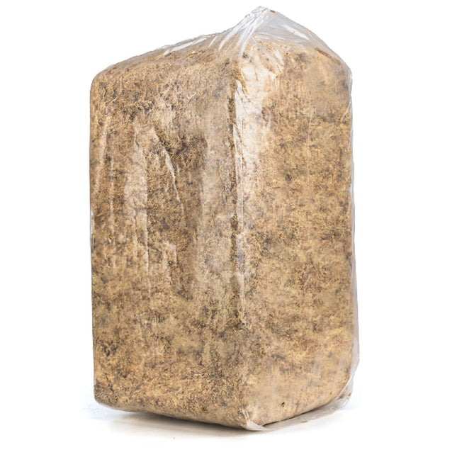 Besgrow Chilean Sphagnum Moss 5 kg – chilijski mech torfowiec (żółty)
